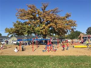 This oak tree was planted over 100 years ago when the school opened. 