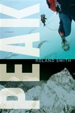 Peak cover 
